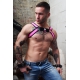 Breedwell BRUT Elastic Harness Pink Neon