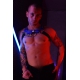 POUNDTOWN BULLDOG HARNESS - BLUE 