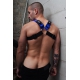 POUNDTOWN BULLDOG HARNESS - BLUE 