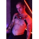 Lighted Harness POUNDTOXN BULLDOG Red