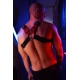 Lighted Harness POUNDTOXN BULLDOG Red