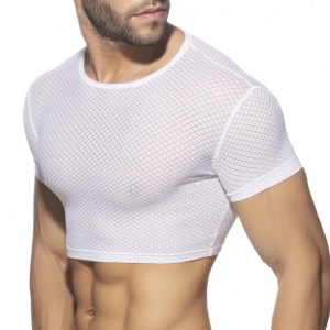 Addicted FANTASY DIAMOND White Crop Top