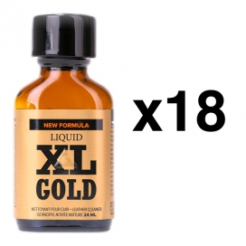 BGP Leather Cleaner  LIQUIDO XL ORO 24ml x18