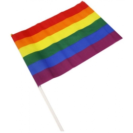 Pride Items Drapeau Rainbow avec manche 20 x 28cm