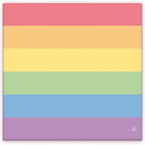Pride Items Rainbow papieren handdoeken x20