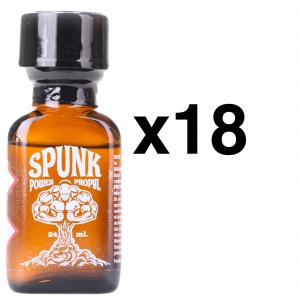 BGP Leather Cleaner SPUNK KRACHT 24ml x18