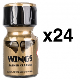 BGP Leather Cleaner WINGS 10ml x24