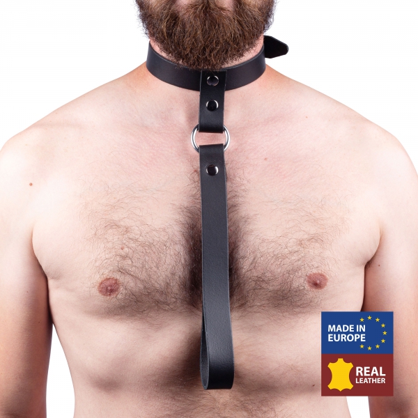 Leather collar with short leash