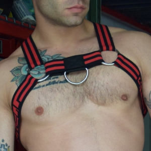 Breedwell Breedwell VOYEUR Harness Red