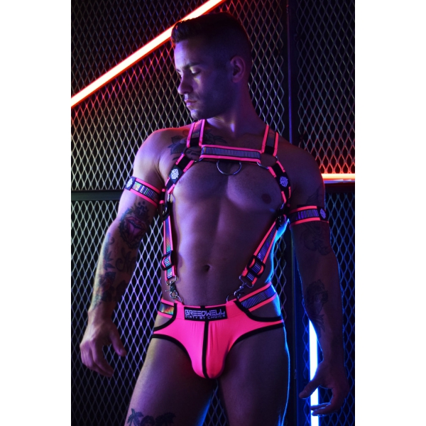 Reflector Neon Pink Harness