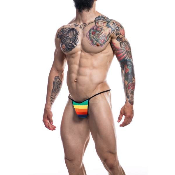 Rainbow Briefkini sexy slip