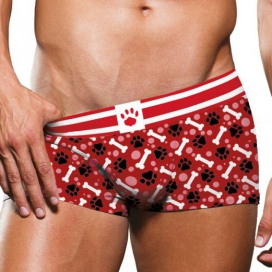 Prowler Underwear Boxer Puppy Prowler Red