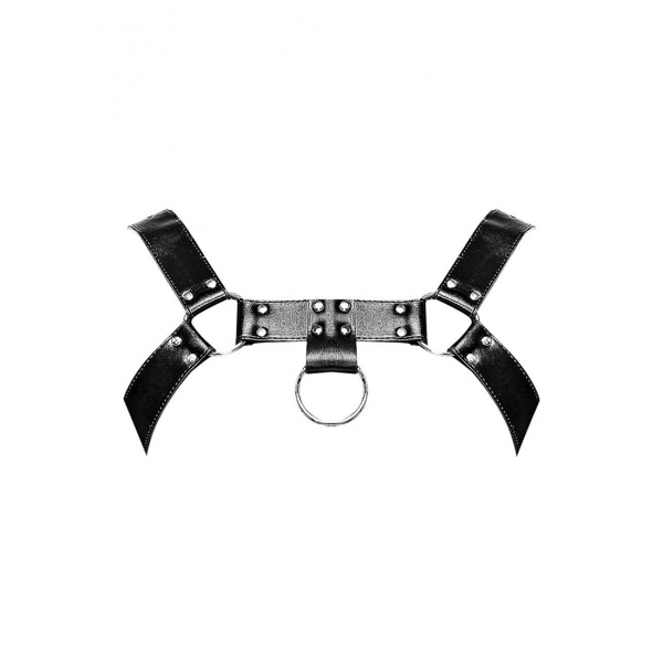 Aries Male Power Harness