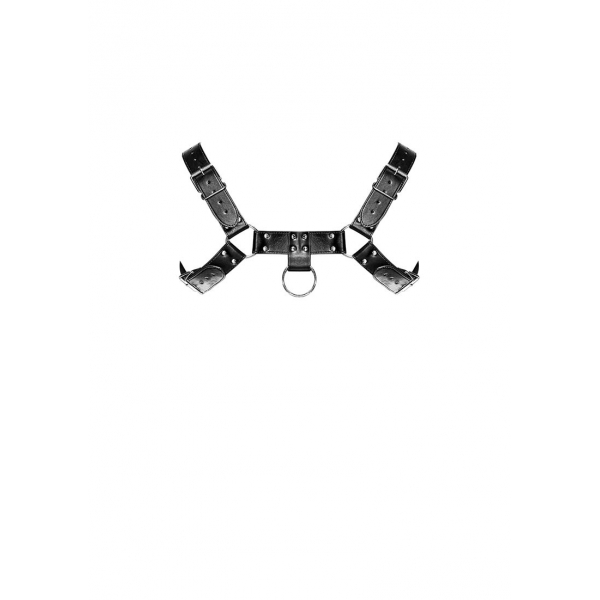 Aries Male Power Harness