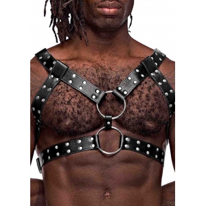 male power Gemini Male Power Harness