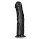 Curved Realistic Dildo with Suction Cup - 9''/ 23 cm