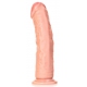 Realistic Curved Strong Dildo 23 x 5.5cm