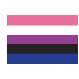 Bandiera genderfluid 60 x 90 cm