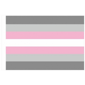 D701 Rainbow Pride Flag 90x150 cm Demifille