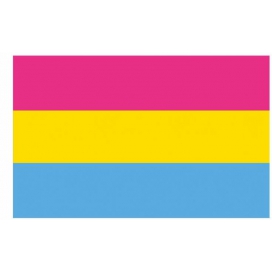 Bandera pansexual 90 x 150 cm