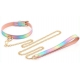 Sm Laser Pink Collar & Leash