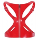 Corsetto in vinile rosso Sm