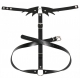 Wing Collar Belly Belt BLACK