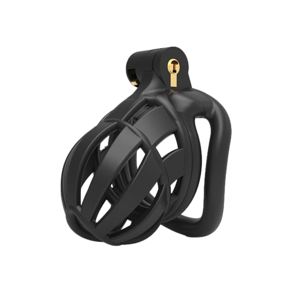 Biglea Chastity Cage 6,5 x 3,6cm Preto