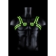 Glow Strike Harness Black