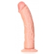 Curved Realistic Dildo with Suction Cup - 7''/ 18 cm