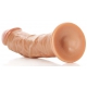 Dildo Curvo Realista Dildo 18 x 4,2cm Latino