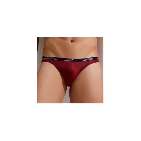 Second Skin Gauvine Red Briefs