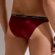 Second Skin Gauvine Red Briefs