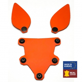 The Red PUPPY SET ORANGE LEATHER EARS AND TONGUE