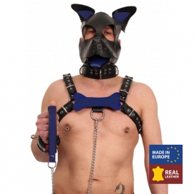 The Red PUPPY BONE IN BLUE LEATHER