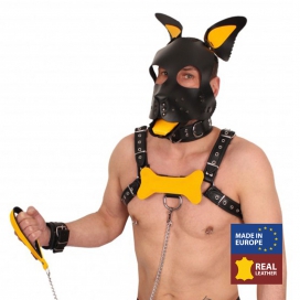 The Red PUPPY BONE IN YELLOW LEATHER
