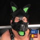 Echt lederen masker PUPPY Groen