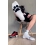 Chaussettes blanches Puppy Sk8erboy