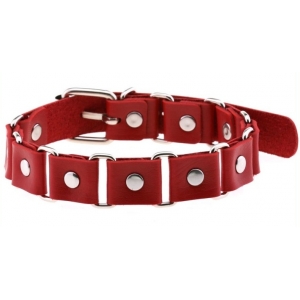 Joy Jewels Colar de pontos vermelho