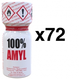 FL Leather Cleaner 100% AMYL 13ml x72