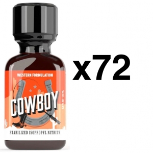 BGP Leather Cleaner COWBOY 24ml x72