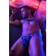 Hex Bulldog Breedwell Blue Harness