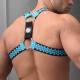 Hex Bulldog Breedwell Blue Harness