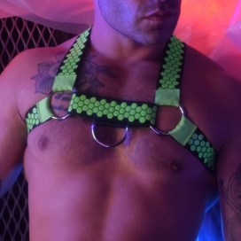 HEX BULLDOG HARNES NEON GREEN