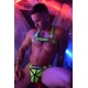 Hex Bulldog Breedwell Harness Green Neon