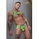 Pettorina Hex Bulldog Breedwell Verde Neon