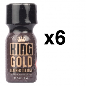 BGP Leather Cleaner ORO REY 15ml x6