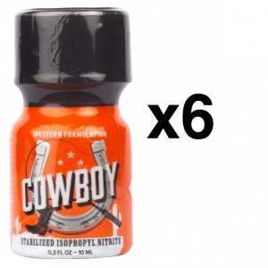 BGP Leather Cleaner COWBOY 10ml x6