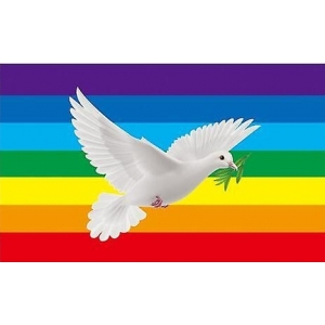 D700 Love & Peace Gay Pride Flag  005 90*150