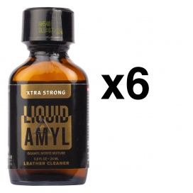 AMIL LIQUIDO 24ml x6